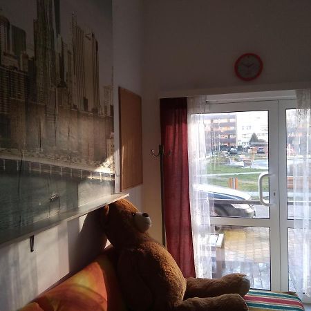 Apartament Przy Parku Noclegi Plock Bagian luar foto
